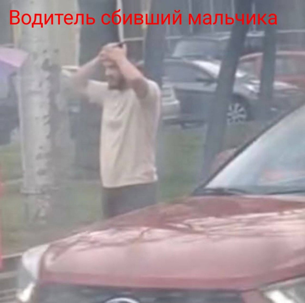 Евгений Z (я вам не Димон) tweet media