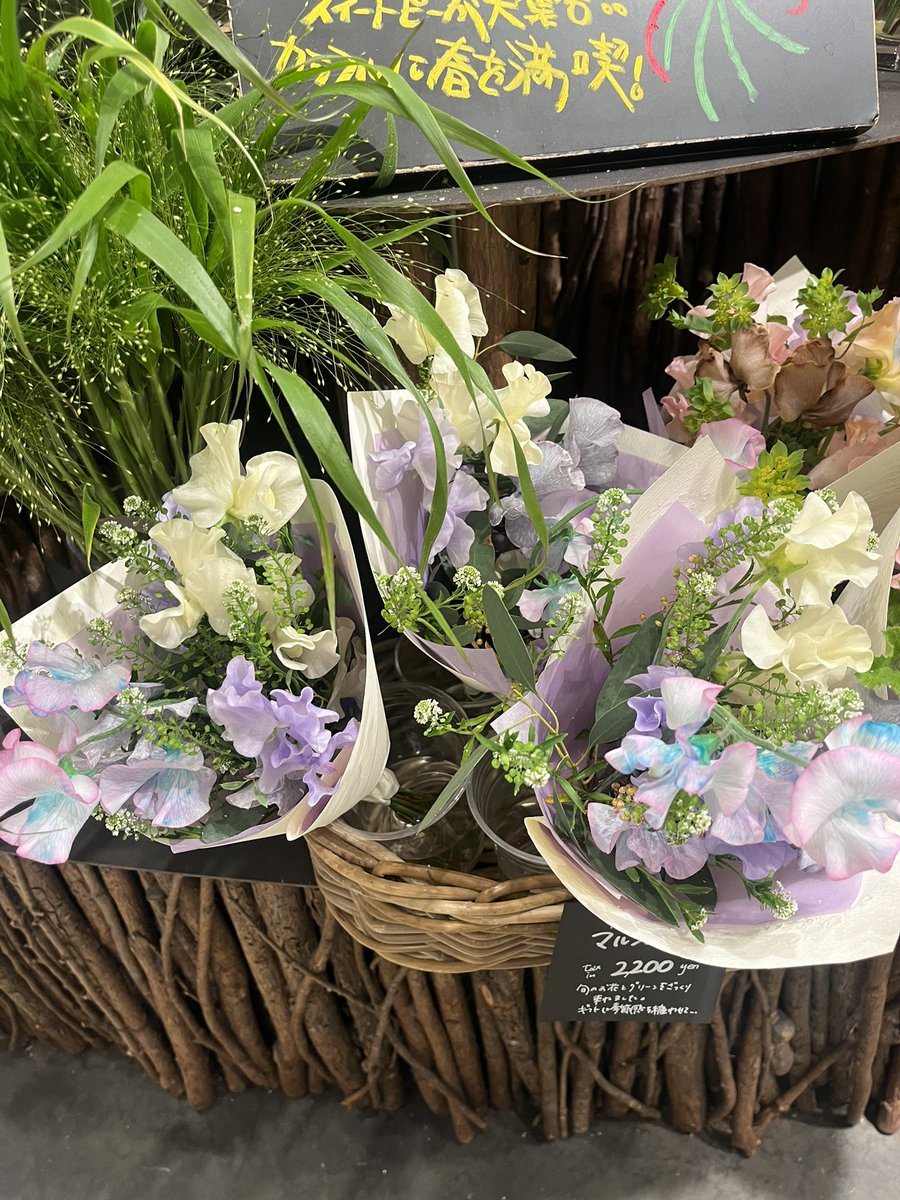 𝓙 𝜗𝜚 tweet media