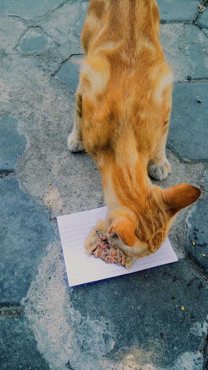 ga bole iri tweet media