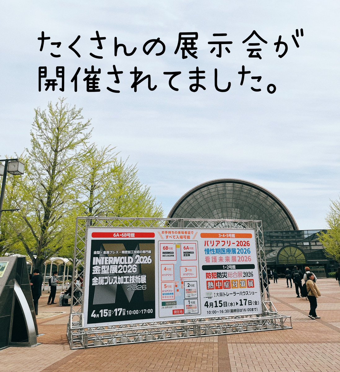 堀　美和子 tweet media