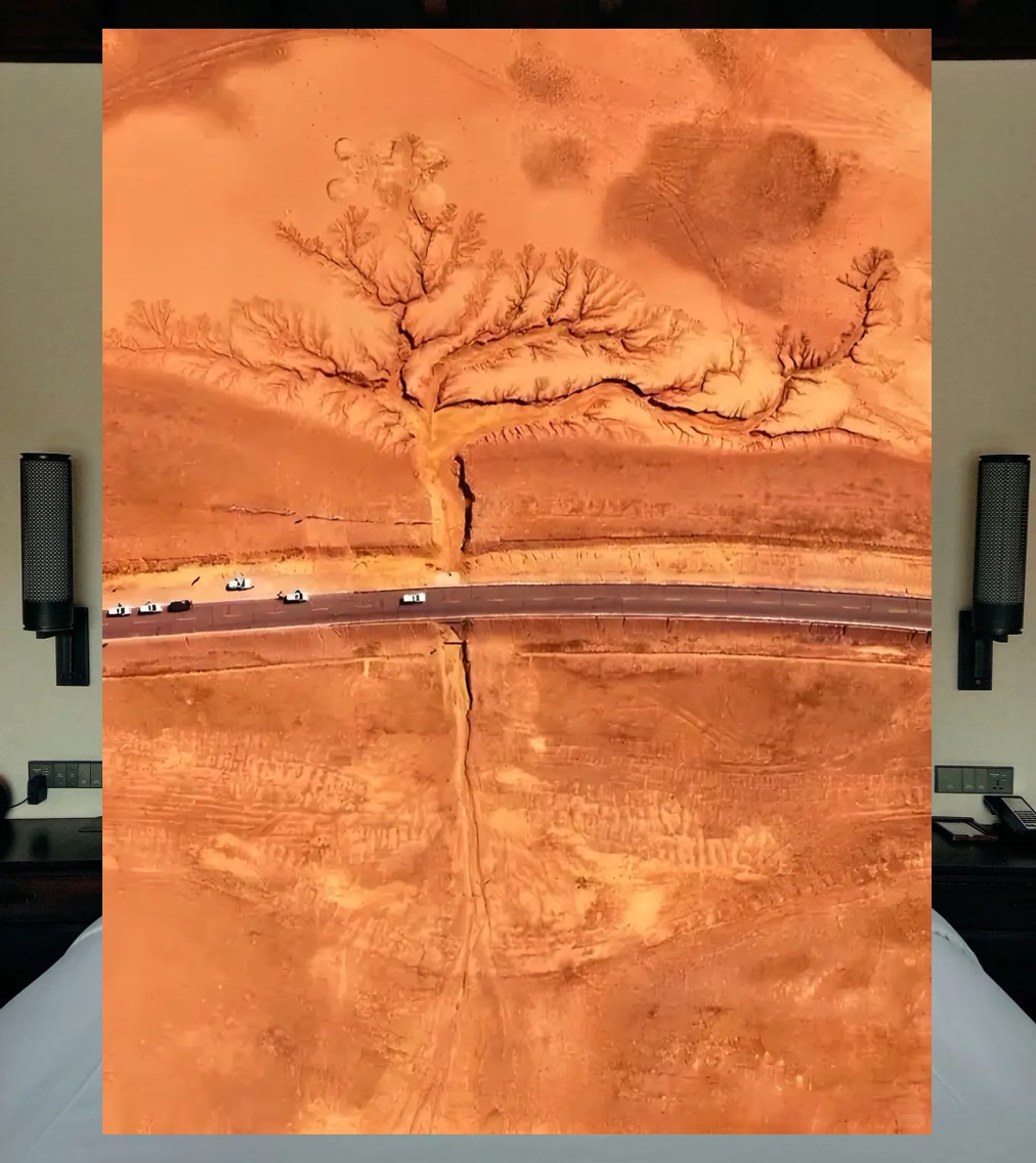 Ruben Muhammad tweet media