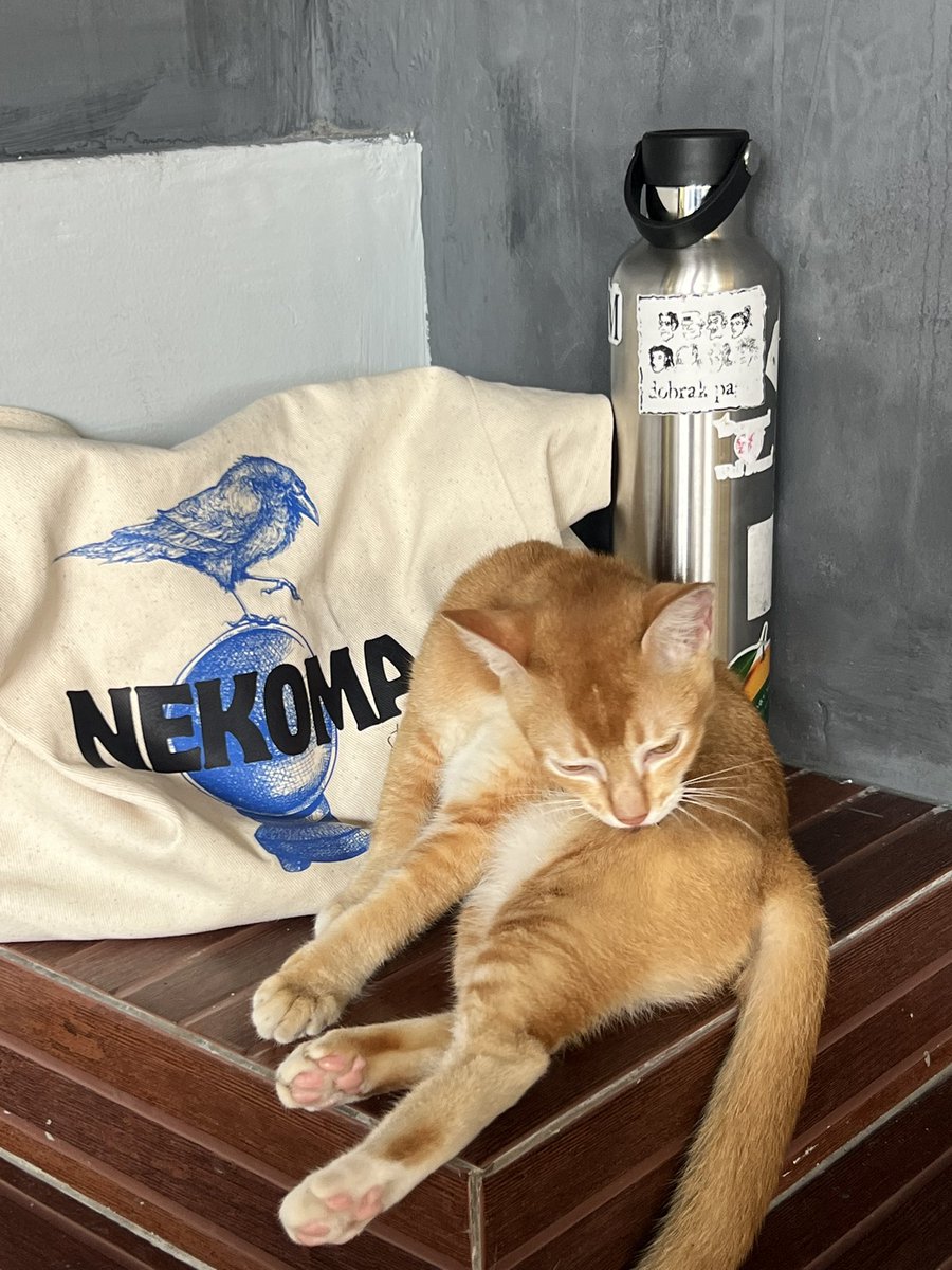 💤eekaboo tweet media