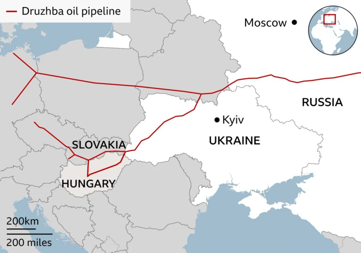 Martin Tuitero tweet media