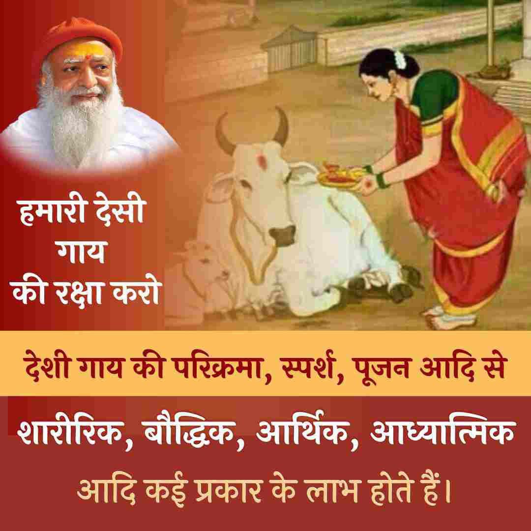 hinduvadi072's tweet photo. @Asharamjiashram Desi Gaay का संरक्षण समय की मांग है ⏳🐄 Gau Raksha Abhiyan के जरिए हम विलुप्त होती नस्लों को बचा सकते हैं। शुद्ध दूध और प्राकृतिक खेती का आधार यही है। आइए #GauSeva को जन-जन तक पहुंचाएं 🌾✨ https://t.co/6bGxfY45h9