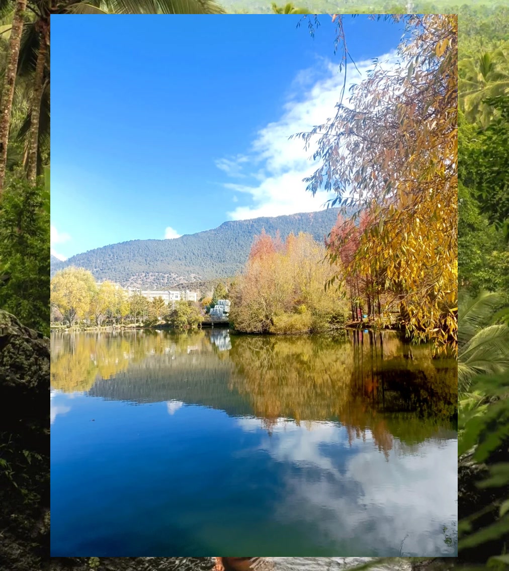 Terry Lewis tweet media