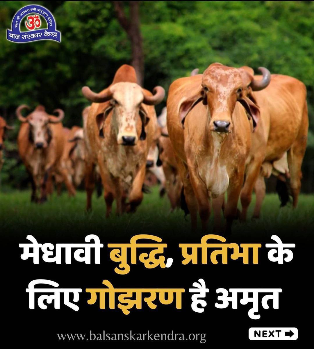maheshsurw83987's tweet photo. @Asharamjiashram Sant Shri Asharamji Bapu बताते हैं कि Desi Gaay हमारी संस्कृति की धरोहर है। इनकी रक्षा करना हमारा कर्त्तव्य है। 
Gau Raksha Abhiyan 🐄
#GauSeva https://t.co/OI8fNeTmoD