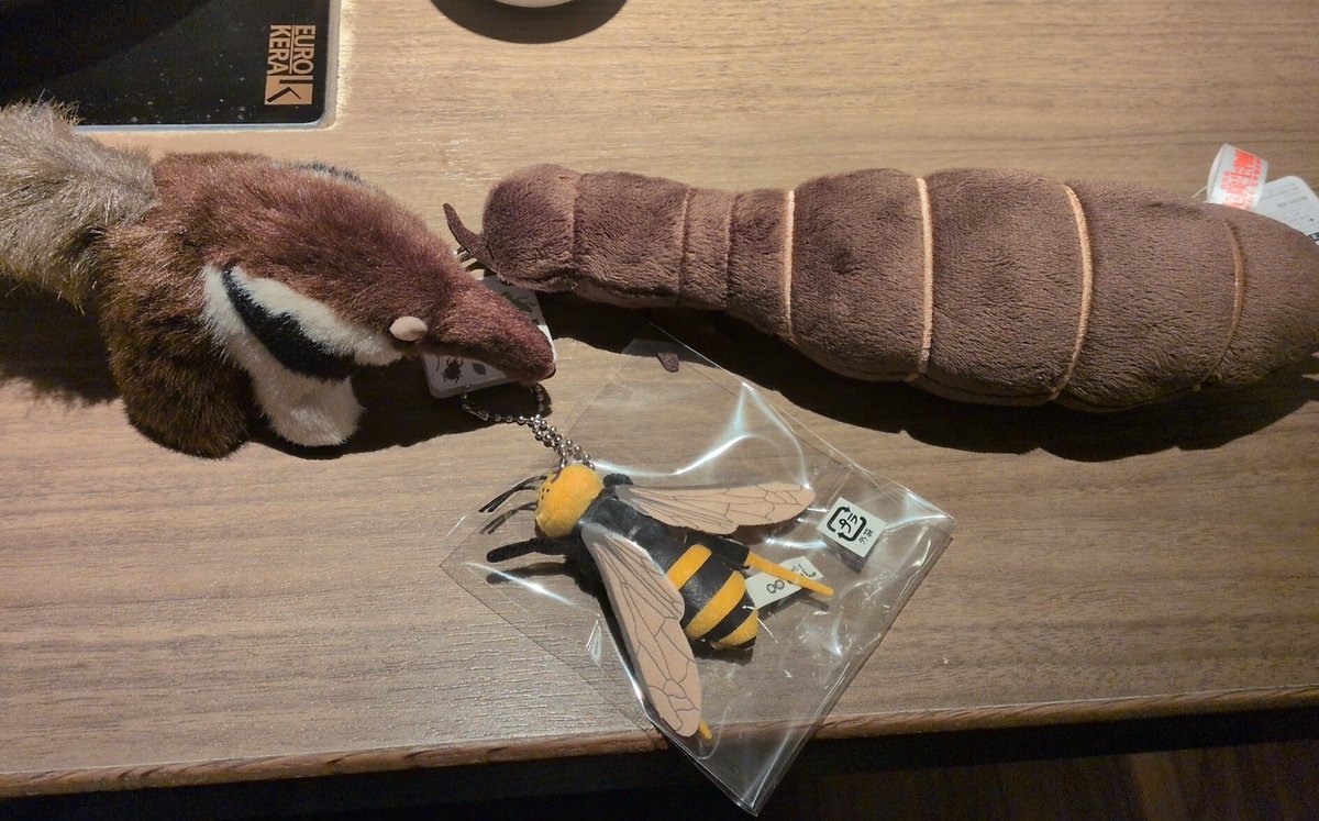 カチョ😇 tweet media