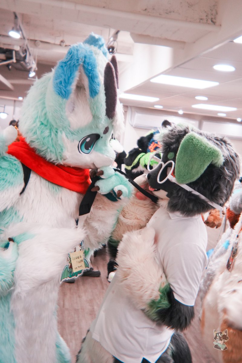 辛德勒🐾 ➡️ UTFG 2026 tweet media