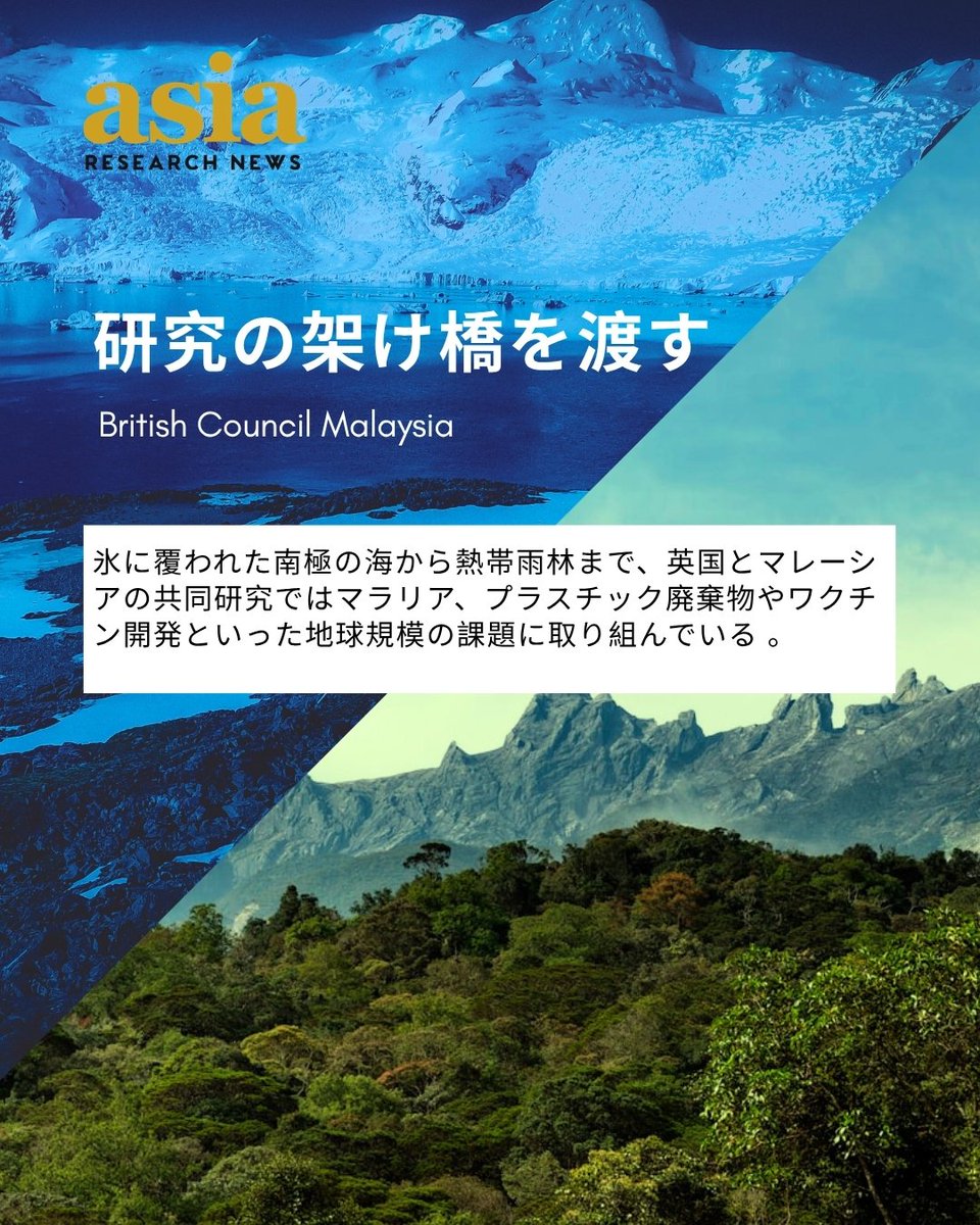 Asia Research News tweet media
