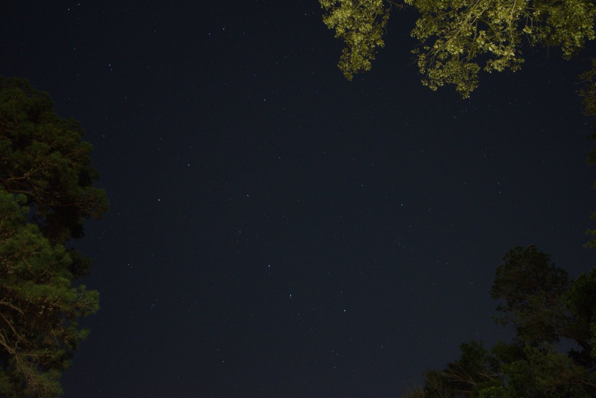 Russell (LPLT) tweet media