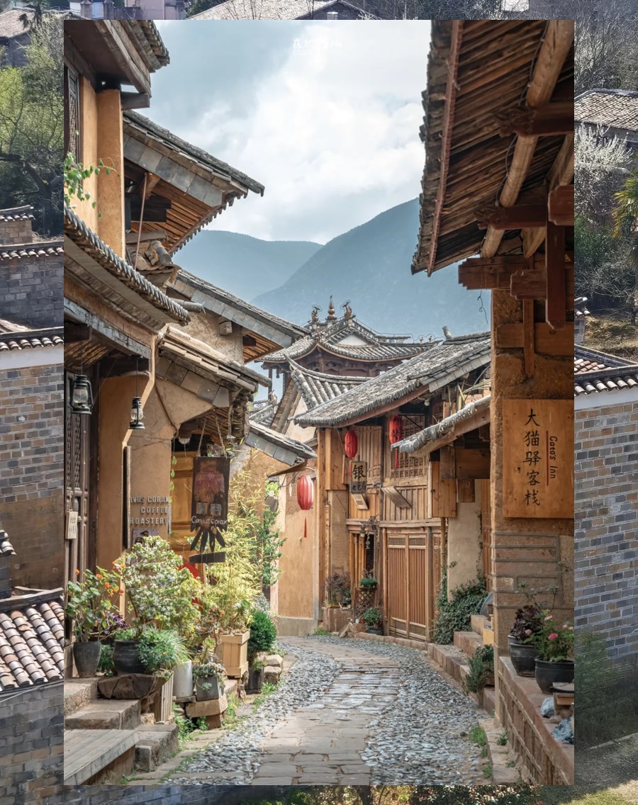 Gary Thompson tweet media