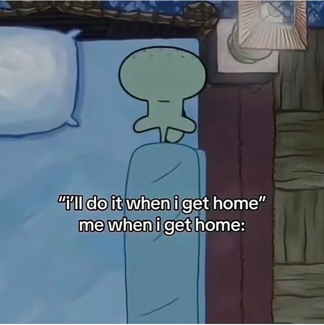 star 💫 tweet media