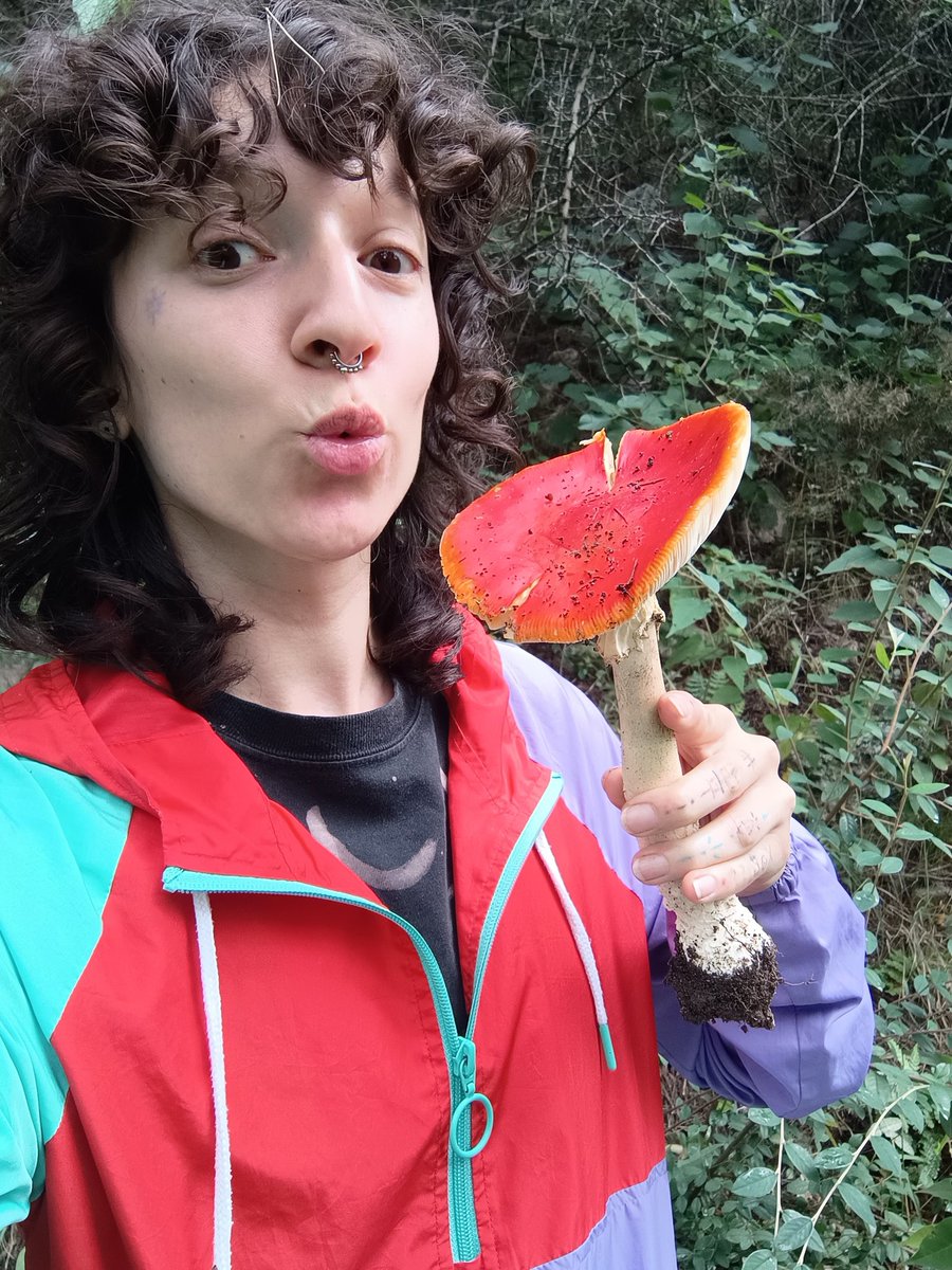 Temporada de hongos 🫶🏻 Mushroom Season 🫶🏻
#mushroom #fairy #magic