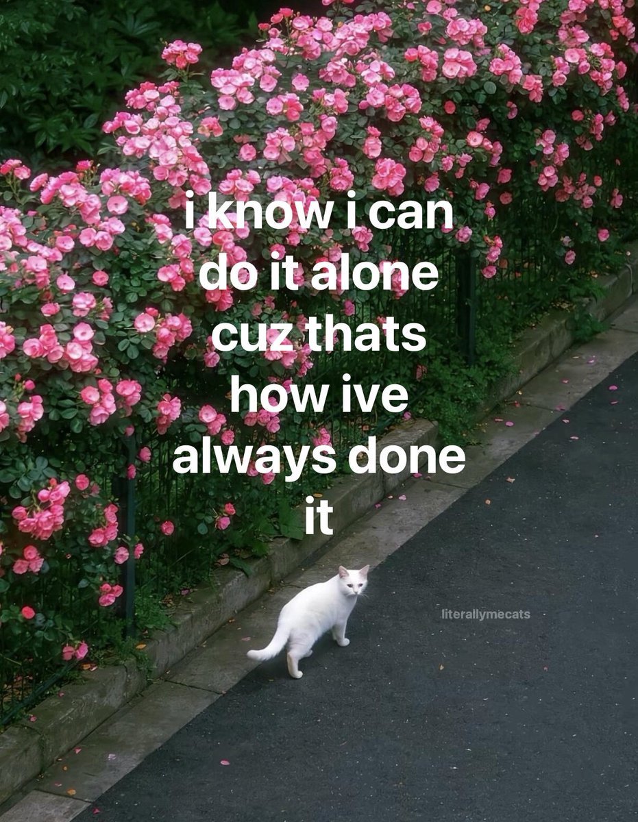 literallymecats's tweet photo. https://t.co/smqMCbktaK