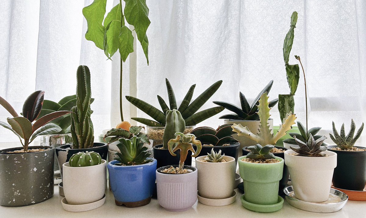 pum 【個展4/30〜5/10】 tweet media