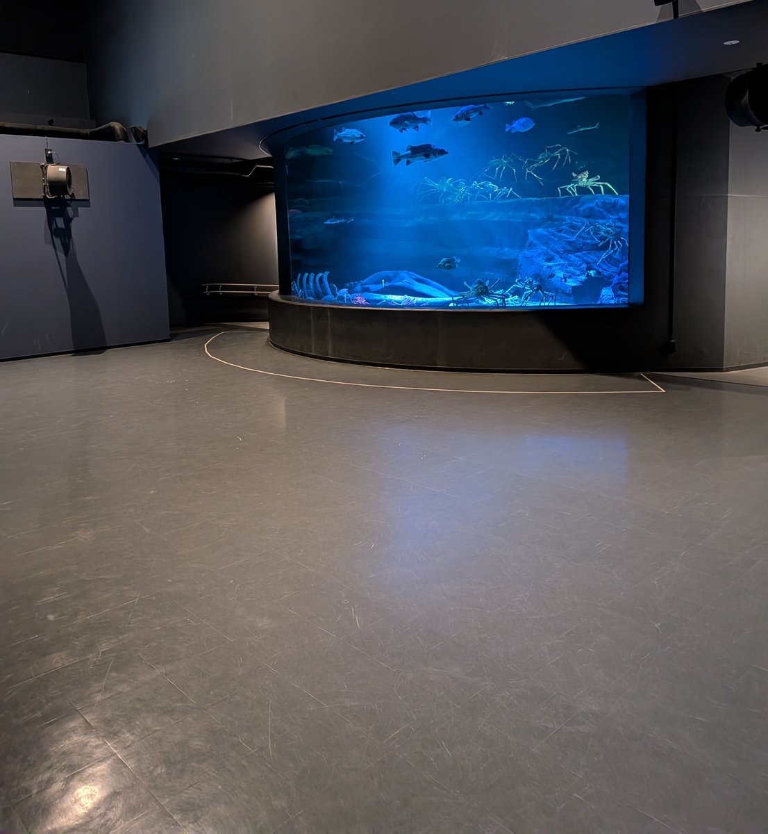 蒲郡市竹島水族館 【公式】 tweet media