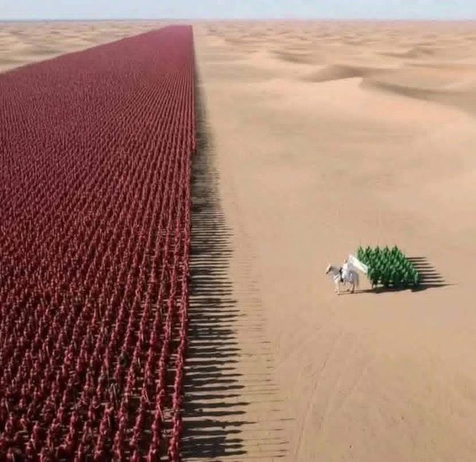 Haleema Abubakar🌹 tweet media