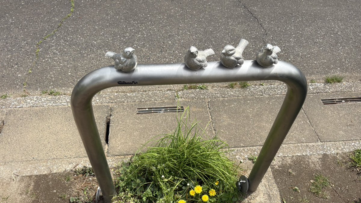 蒼井　怜 tweet media