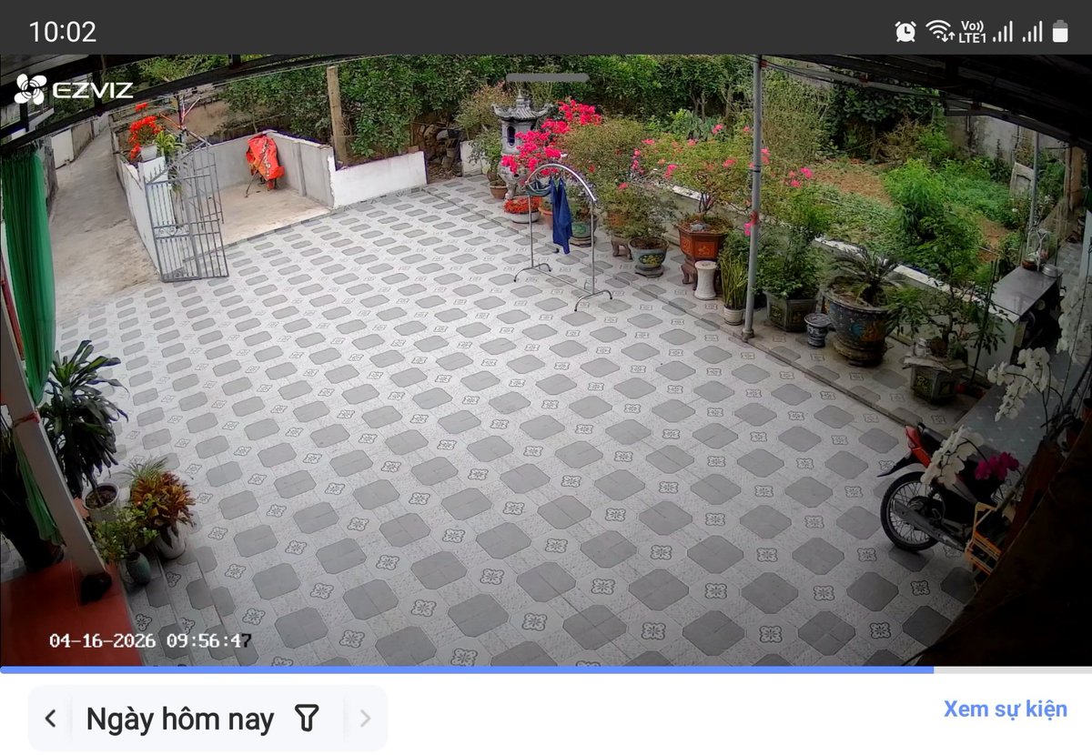 Thom Nguyen | Pineapple tweet media