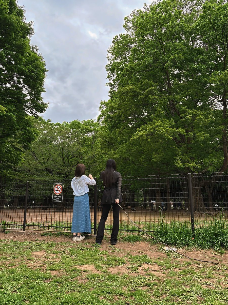 滑川恭子 tweet media