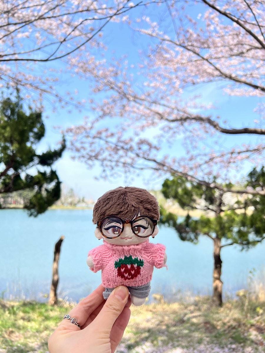 mango🍀 tweet media