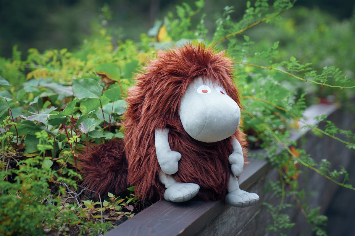 ムーミンバレーパーク公式 tweet media