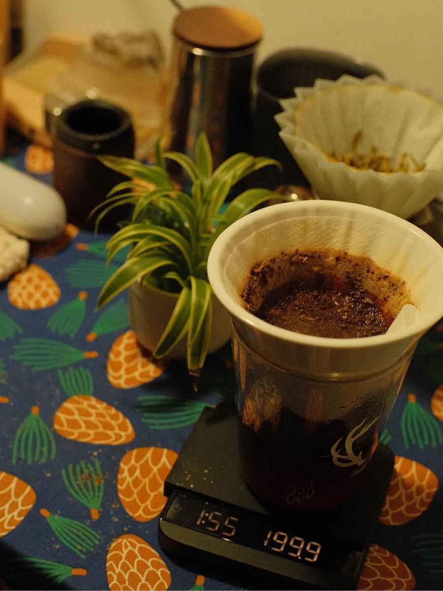 Austin Cole tweet media