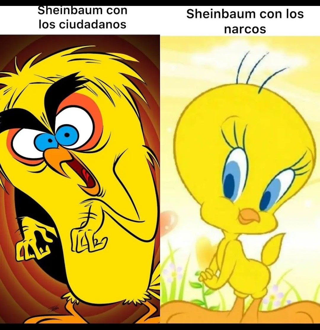 Marco Segovia (@marcose08202341) on Twitter photo 