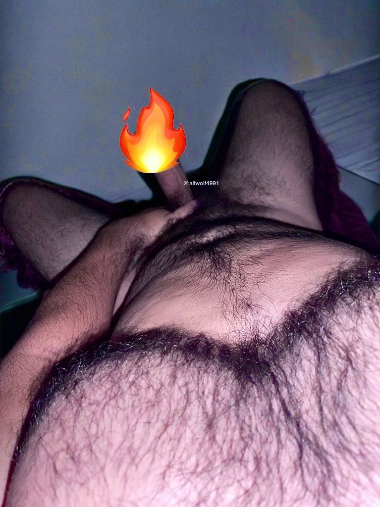 AlfWolfXXX 🐺 tweet media