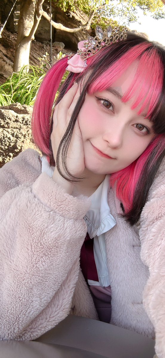 Himechin♪ tweet media