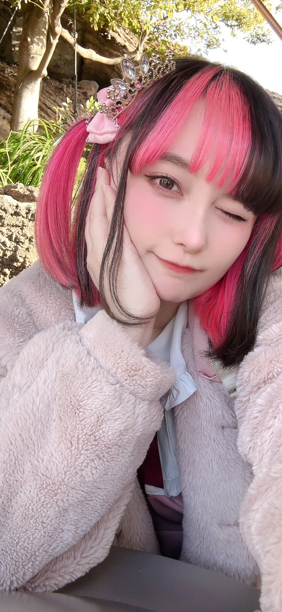 Himechin♪ tweet media