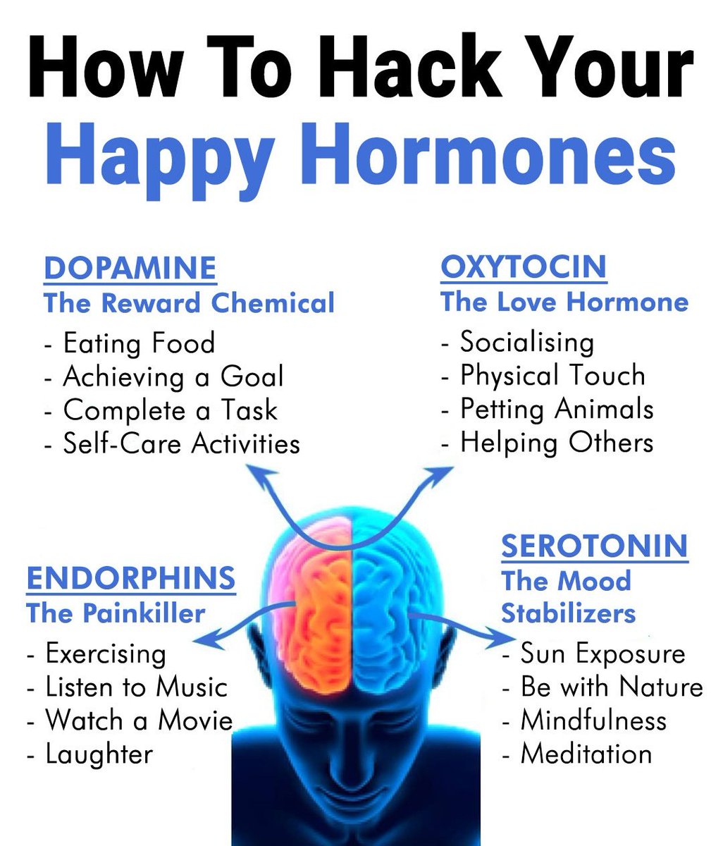 Seek Wiser tweet media