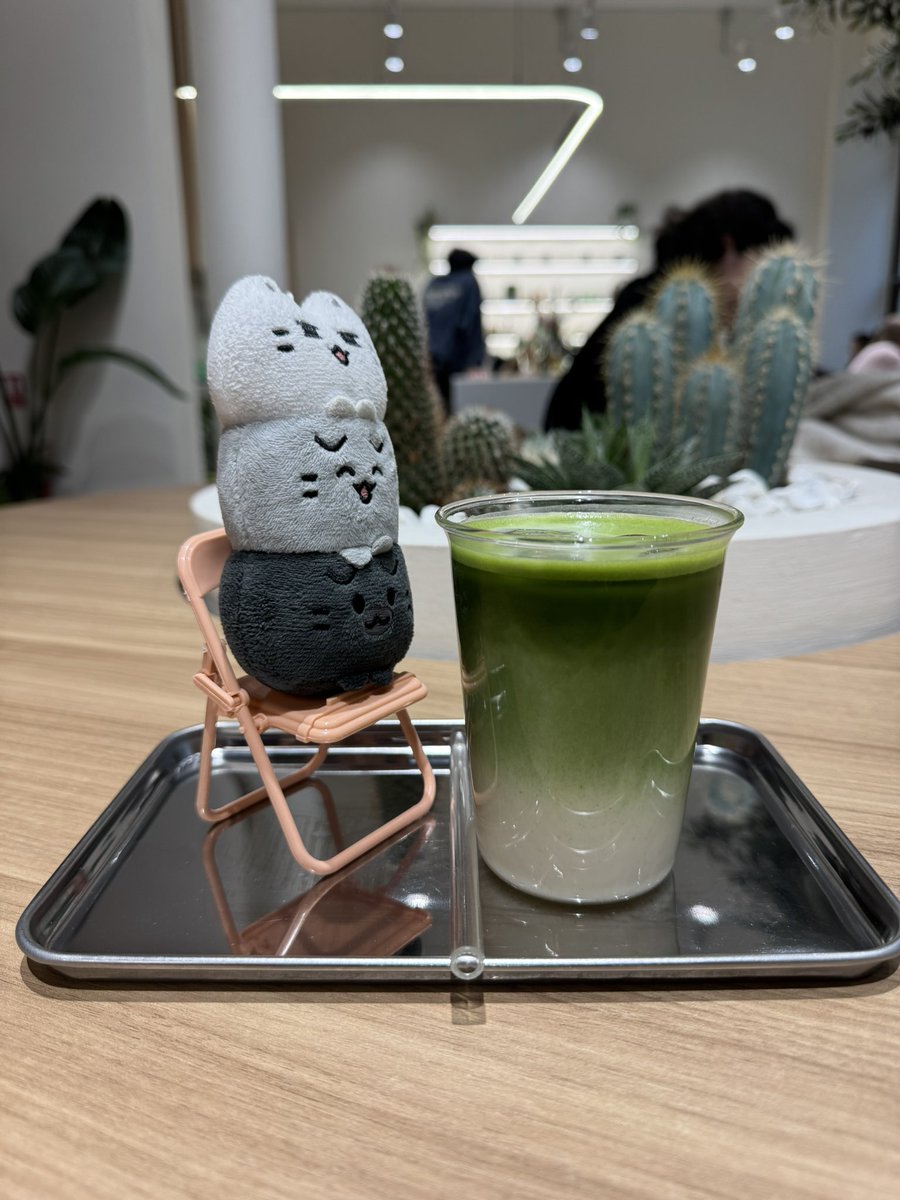 junhuis_kitten's tweet photo. there’s also a jun matcha in prague 💗 https://t.co/gCF6iQEEV4
