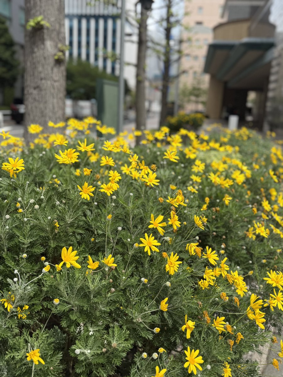 Rie28fami28 tweet media