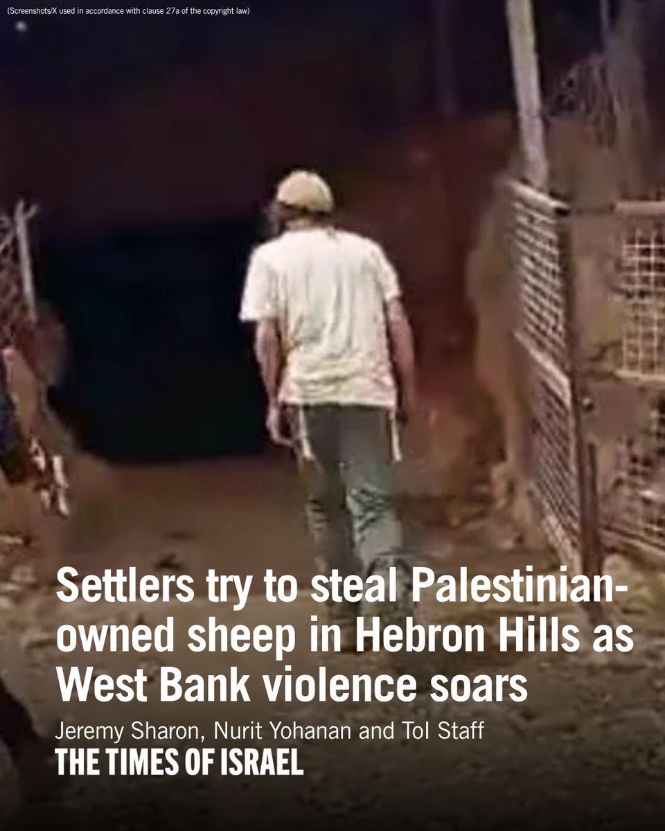 Footage from Wednesday evening showed settlers attempting to steal ...