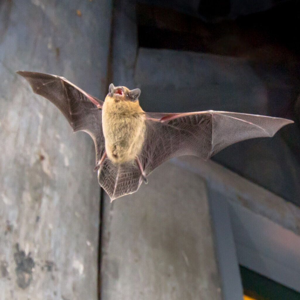 South Downs National Park tweet media