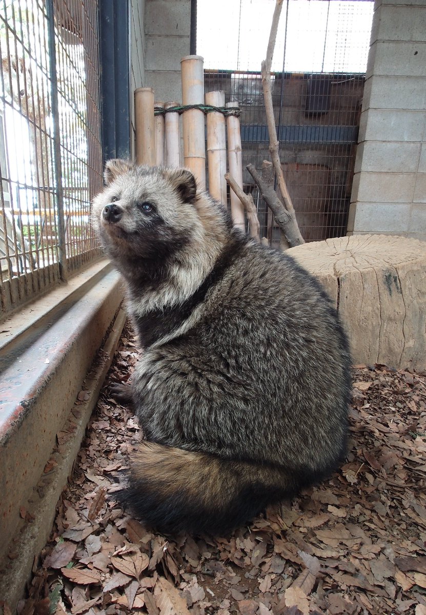 今日も今日とて:⁠-⁠)
#いまげま