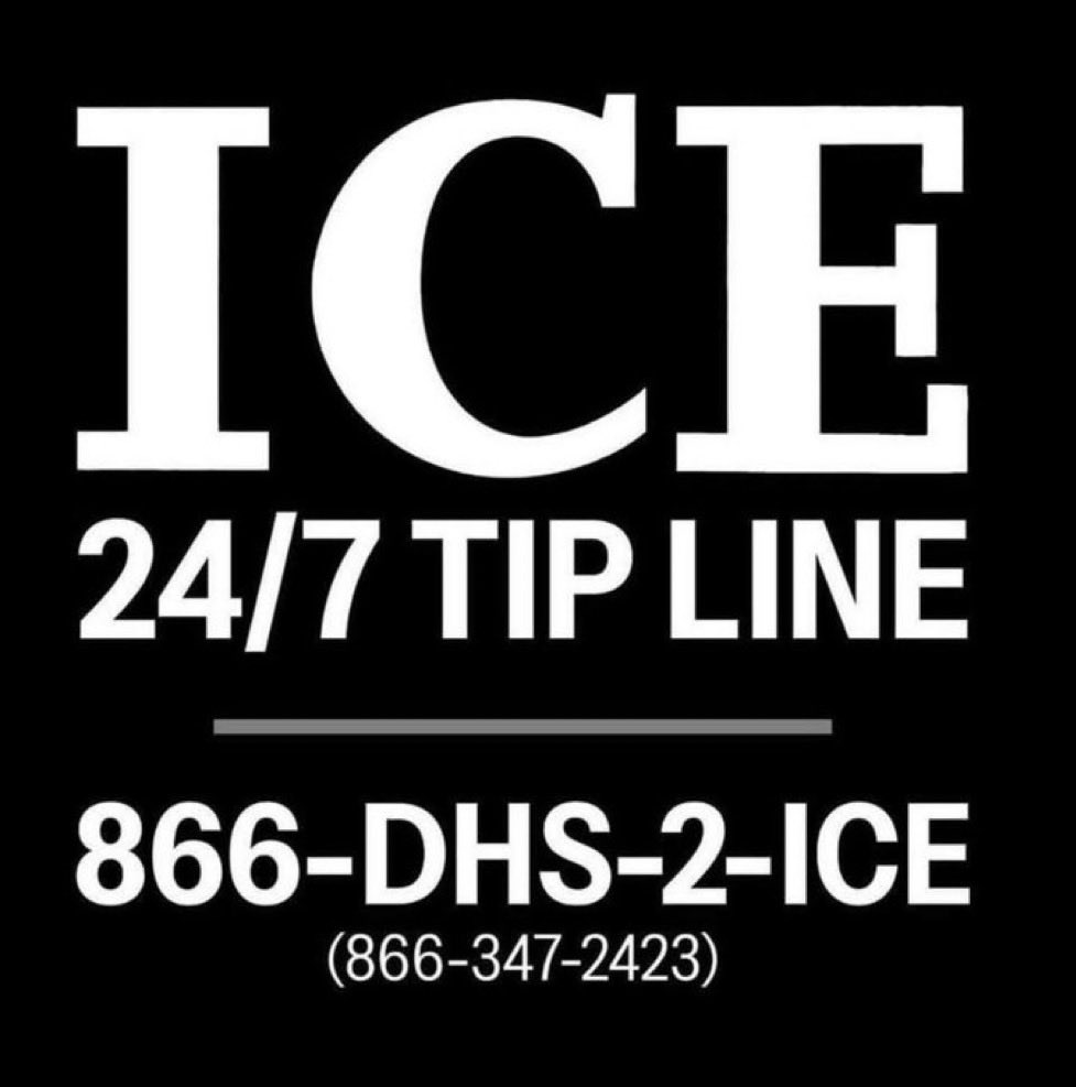 Tamara🦈 tweet media