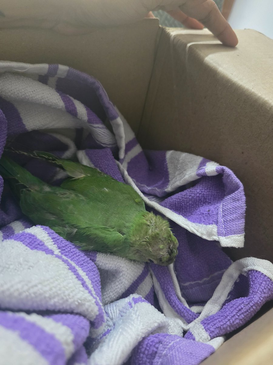 Valia🍉 tweet media