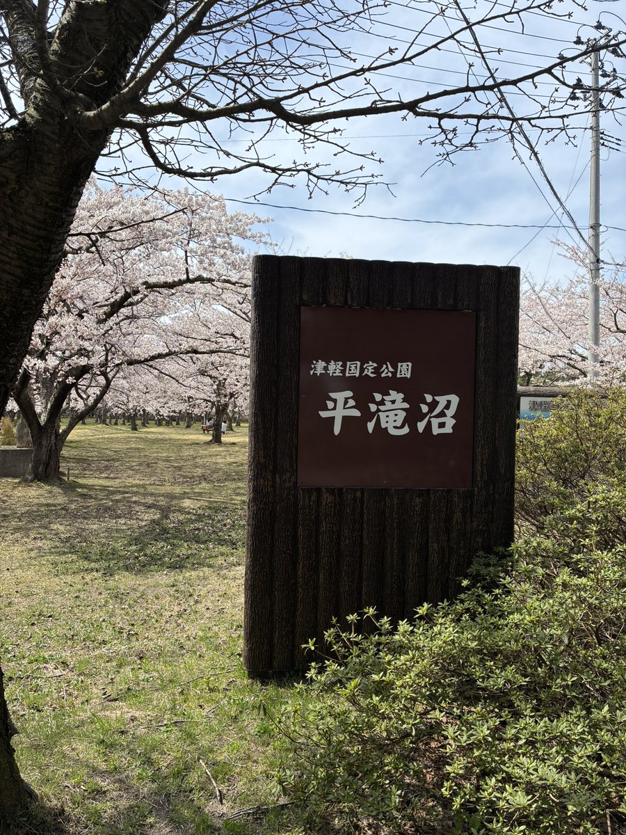 05k901's tweet photo. 桜、満開🌸今が見頃👍🌸
#つがる市　#平滝沼　#津軽国定公園 https://t.co/J8wdlrf3h8