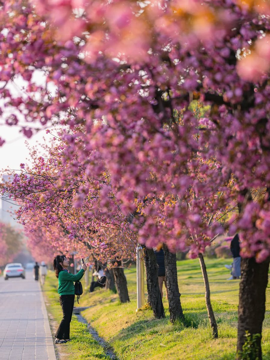 เม้าท์มอยเกาหลี tweet media