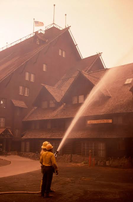 Aaron Birch tweet media