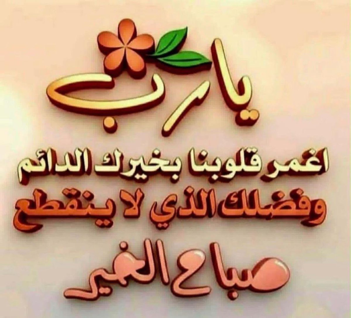 المتوكلة🇸🇦 tweet media