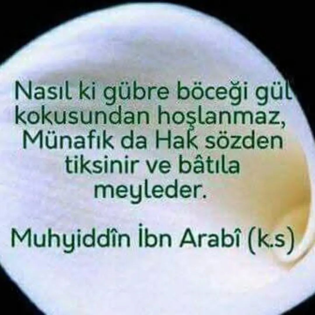 🇹🇷Kutlu🇹🇷Mesut🇹🇷 tweet media