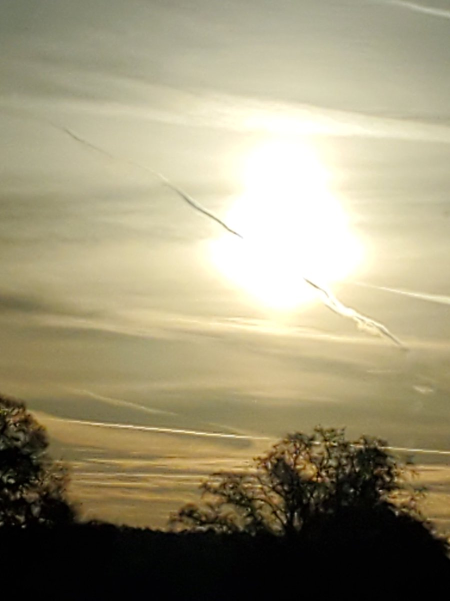 💥 Dan P.💥 🇺🇸 🙏 The Truth will prevail tweet media