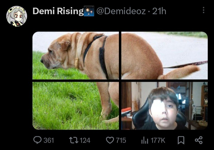 usuarios haciendo pendejadas y cosas random tweet media