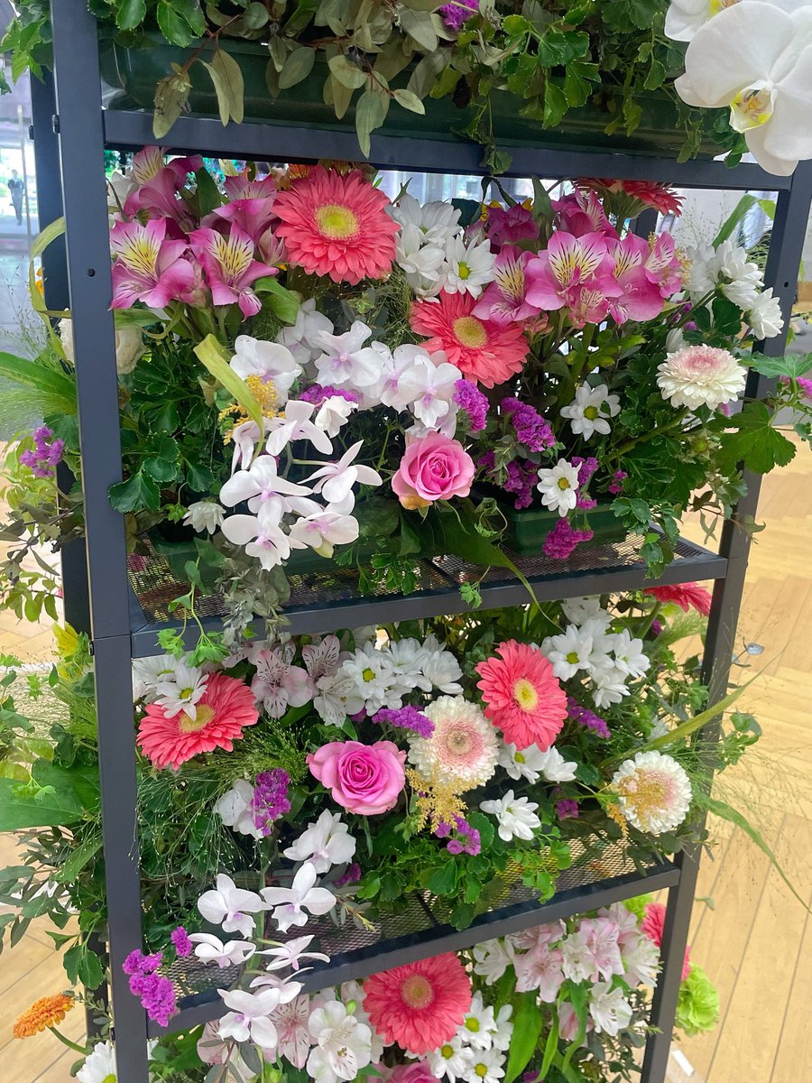 てっか tweet media