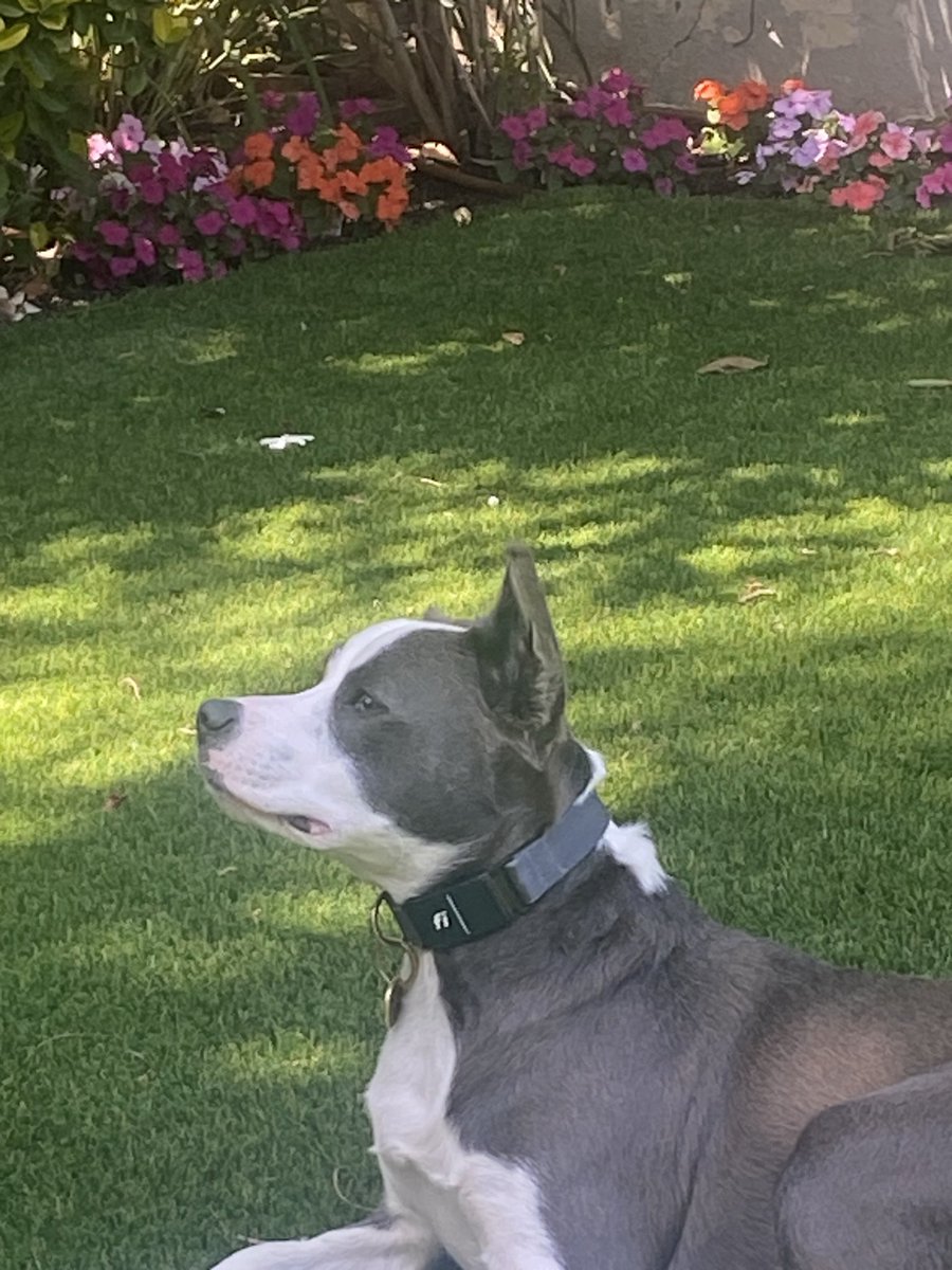 Oliver “Ollie” tweet media