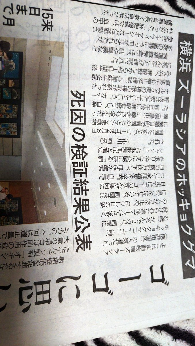 shio kirimura tweet media