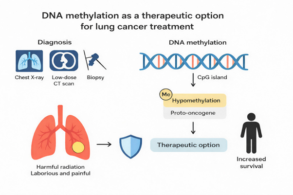 IMO_ASP's tweet image. 📣 📣
The function of DNA methylation in lung cancer: Diagnostic and clinical implications
👨‍ Deep Raj Yadav,  santosh kumar, Shiwa CHAUBEY, Mohan Tiwari and Patrick Michael Chipoya
🔗 Read more: accscience.com/journal/IMO/ar…

#Methylation
#Methyltransferase
#CellfreeDNA
#Biopsy